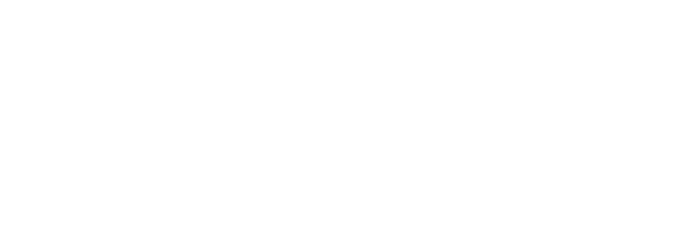 Burning-Seed-2025-Metamorphosis