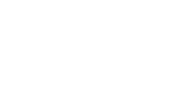 electronic-picknic-festival
