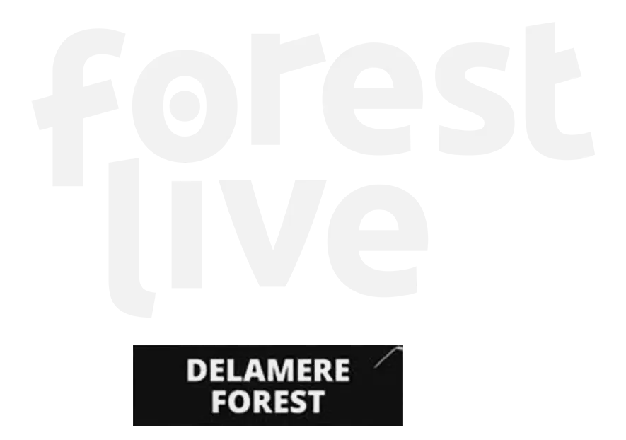 forest-live